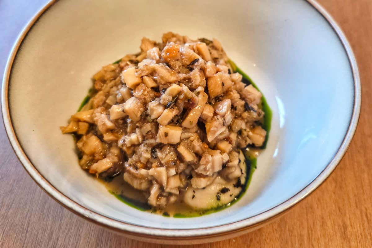 Trippa al vino bianco, con pasta di anacardi e crema di fagioli e maggiorana