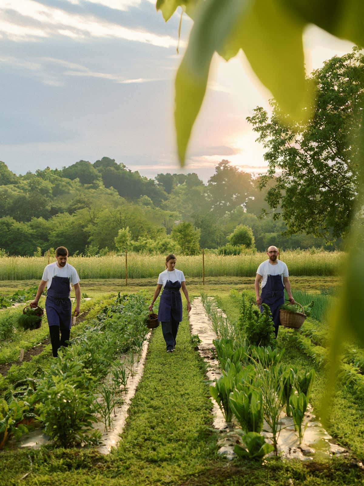 La brigata de La Capuccina al lavoro nell'orto biologico della tenuta di oltre 2.000 mq (Foto: Savour)