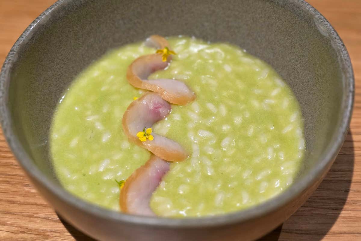 Riso Sant’Andrea mantecato con burro all’alloro acido, con storione affumicato