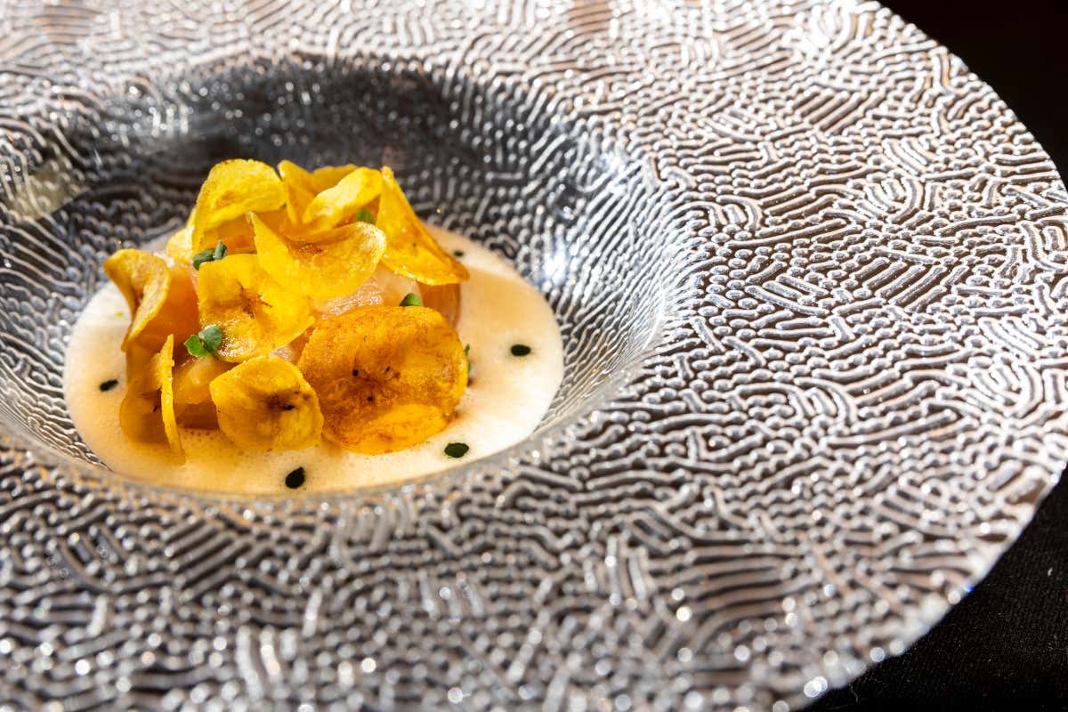 Ceviche di salmerino della Val Passiria con leche de tigre di Pecorino dell’Alto Adige e basilico