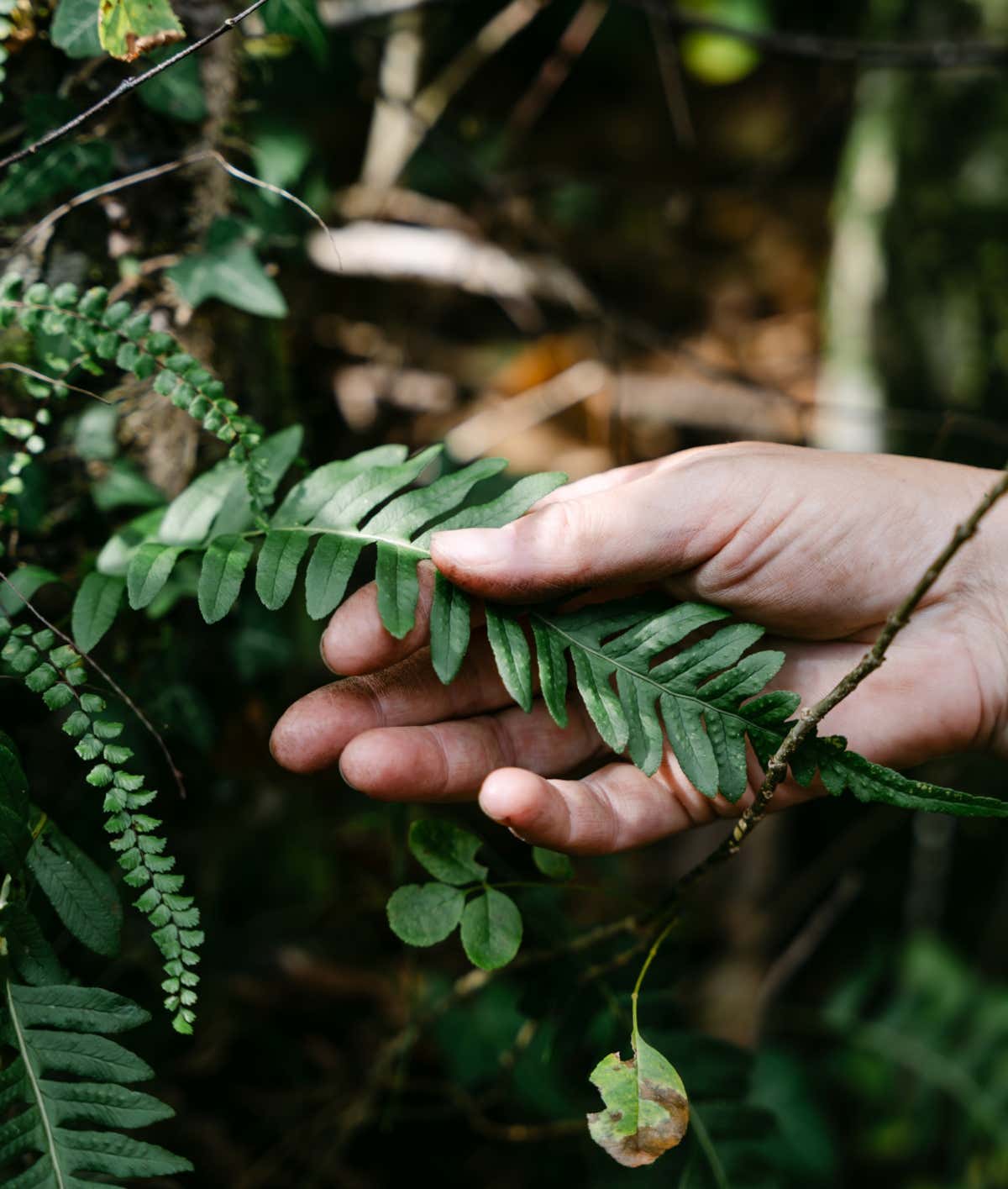 Gloria Clama nella sua cucina utilizza spesso erbe, bacche, cortecce che raccoglie personalmente