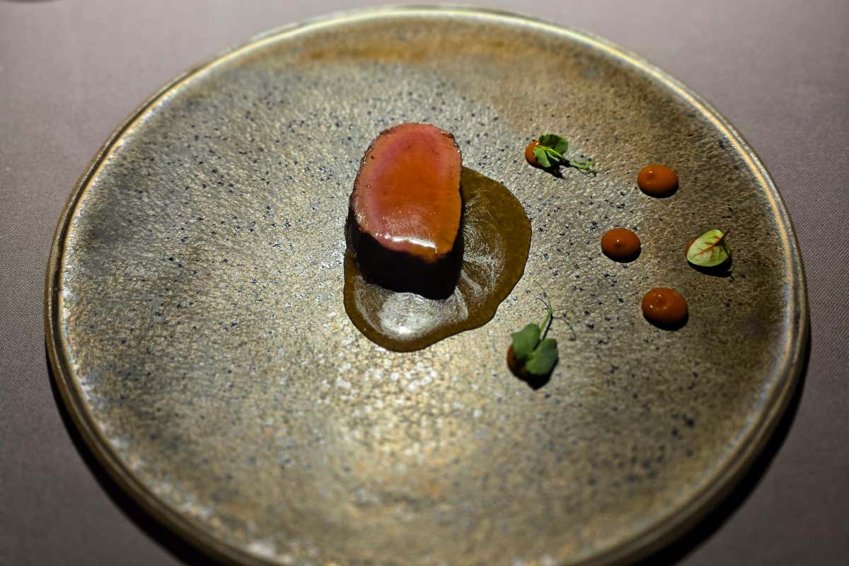 Lombatina di cervo lavorata in cottura con erbe di montagna con una salsa barbecue di mele fermentate, cipolla e aglio nero