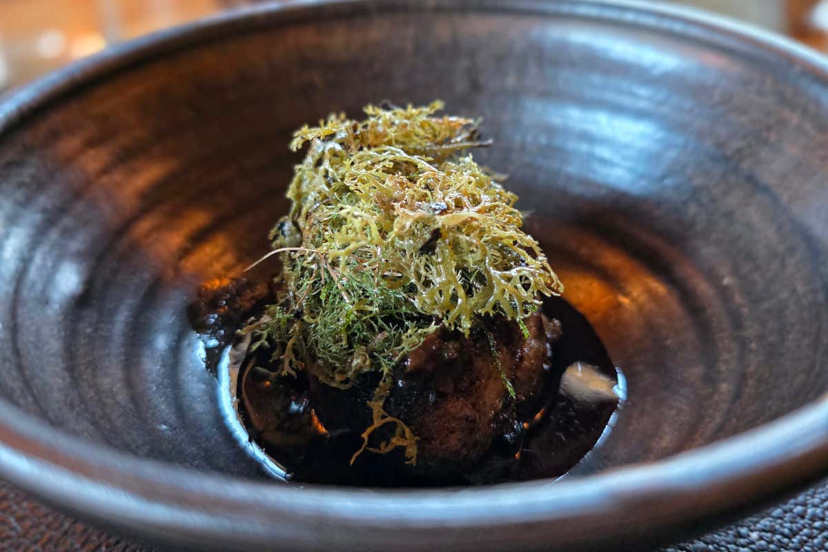 Animella di vitello,cotta alla brace con una crema di spugnole, con un lichene di larice fritto e un “nordic punch” a base di succhi estratti dalle bacche