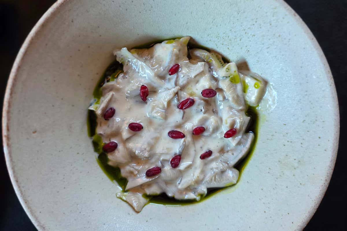 Trippa di funghi, realizzata sia con oyster mushroom sia con mazze di tamburo, con aglio orsino fermentato, rabarbaro conservato e purea di nespole