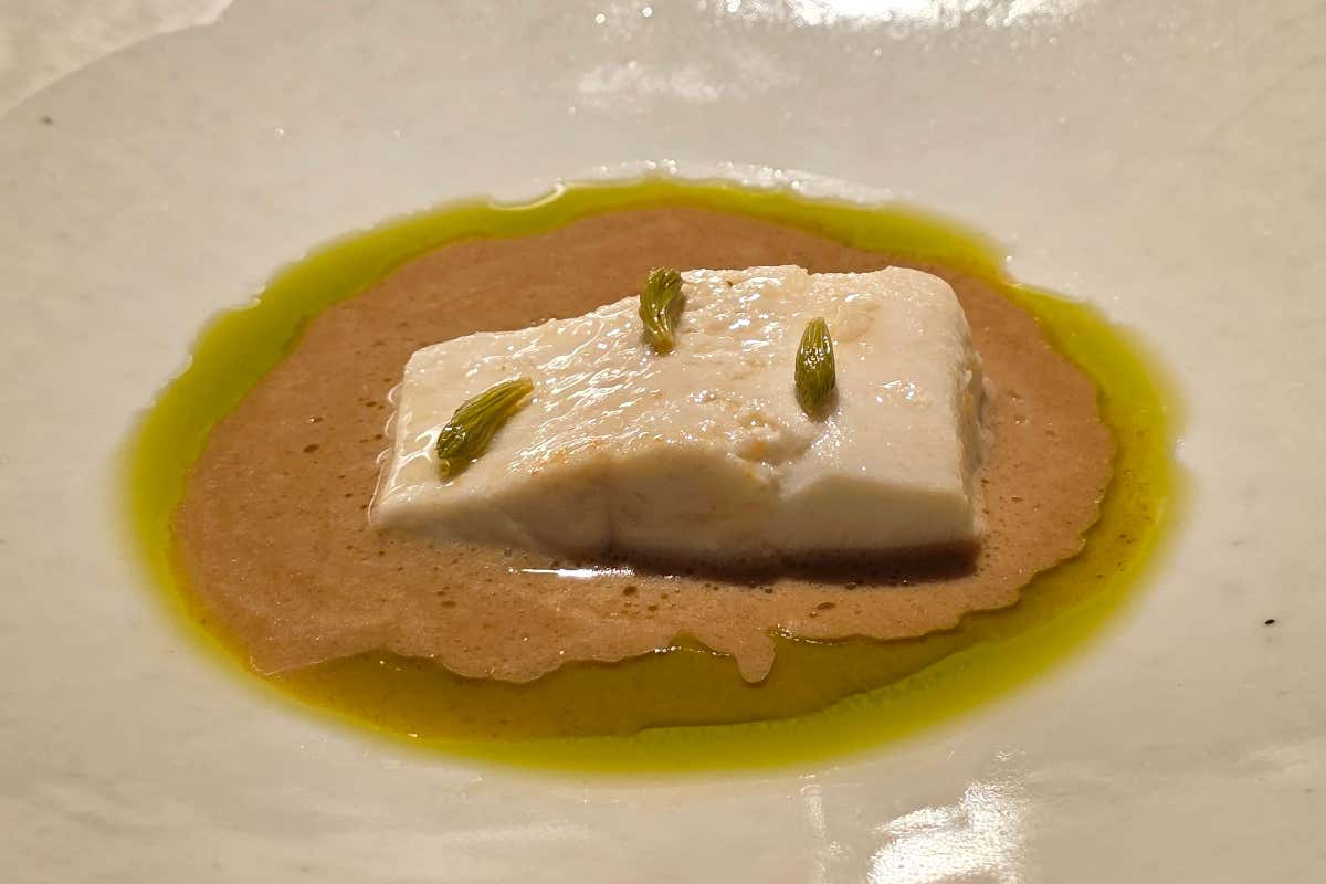 Coregone, siero di latte e abete