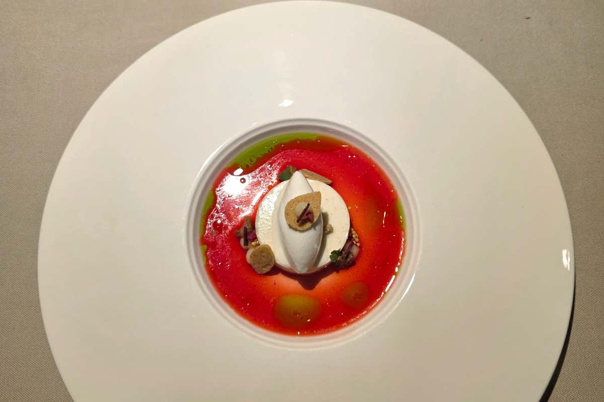 Gelato con lampone fermentato, miglio e cirmolo