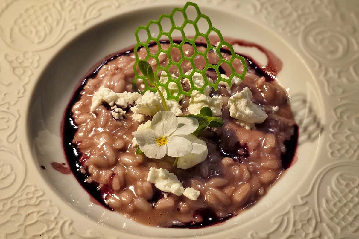 Risotto al Lagrein servito con formaggio fresco di capra del maso Unteroltl