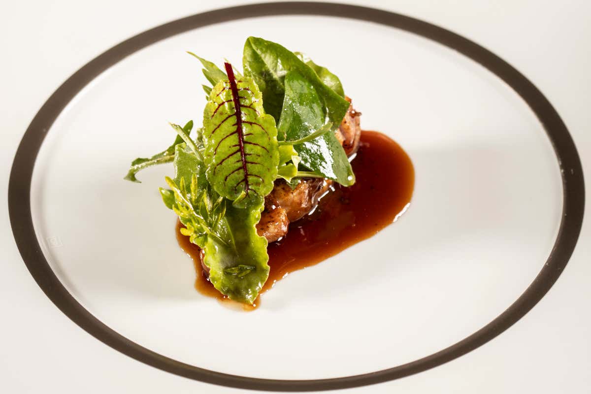 Mater, il ristorante nel cuore delle foreste casentinesi dove la natura diventa cucina