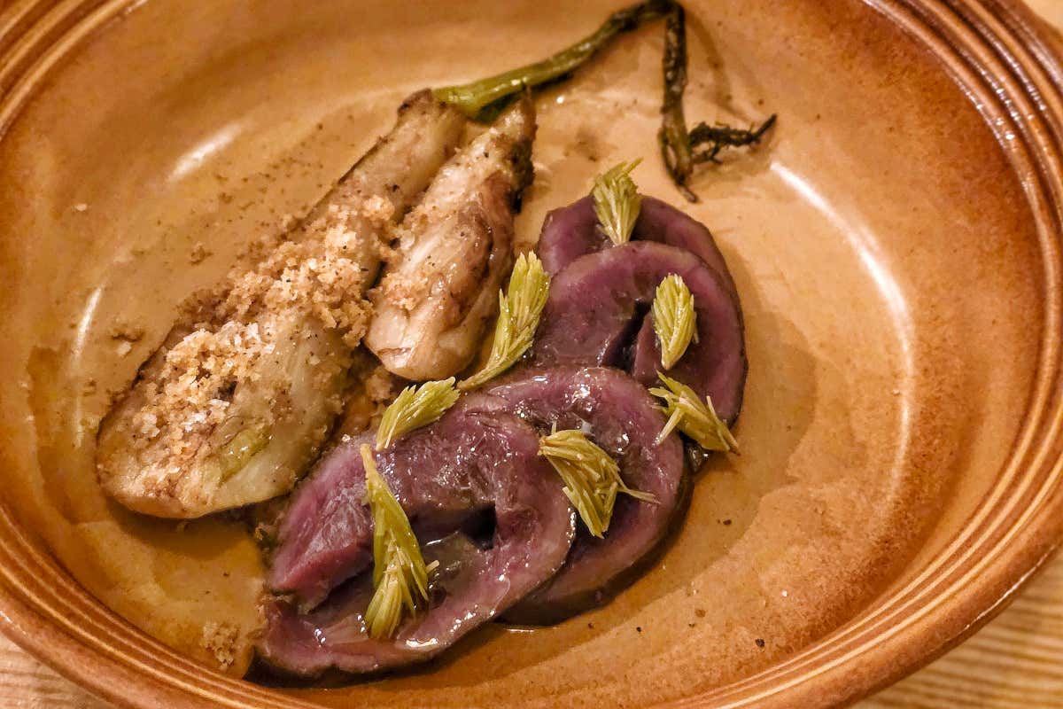 Cuore di cervo con finocchio gratinato, miso di fagioli di Lamon e germogli di abete