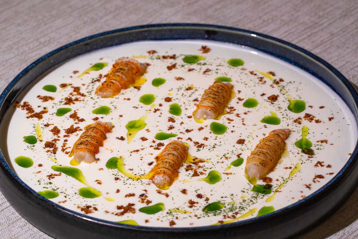 Il Tavernino: Scampi scottati con stracciatella di bufala e polvere di guanciale
