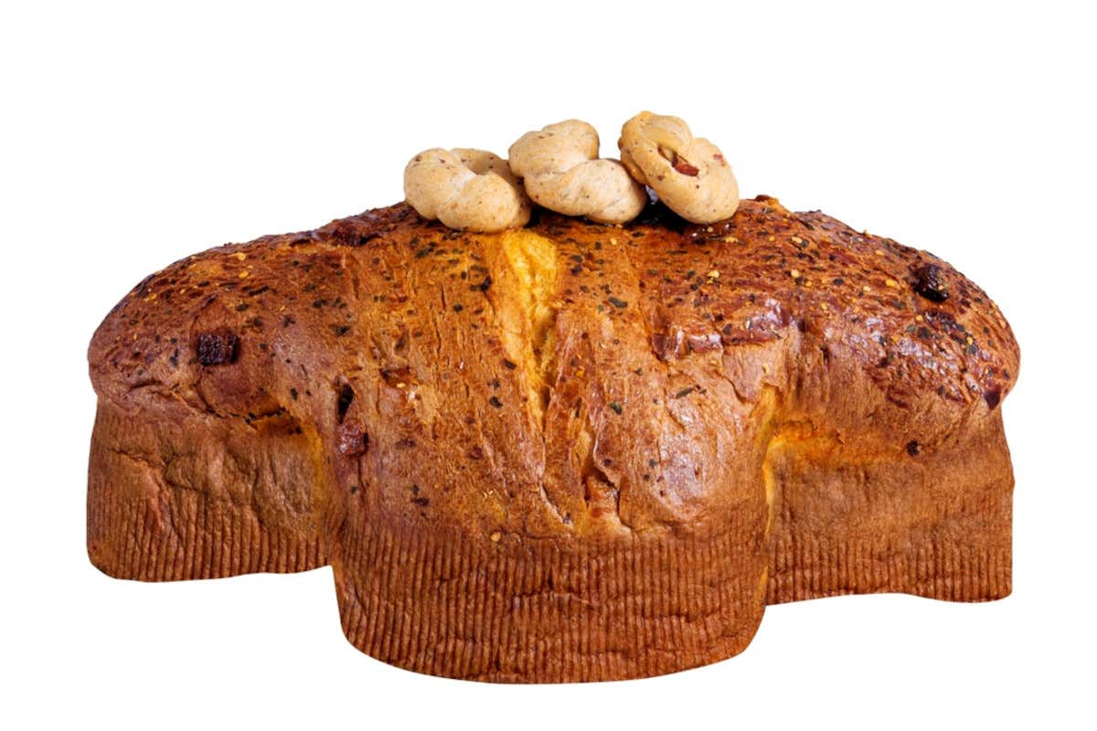 Le colombe salate dei pasticceri italiani: ecco come e dove comprarle Le colombe salate dei pasticceri italiani: ecco come e dove comprarle