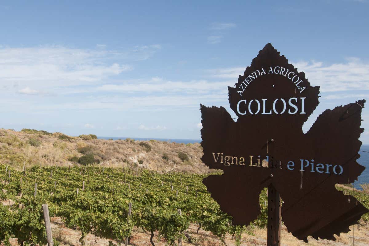 Vini vulcanici, profumi mediterranei: viaggio tra i sapori di Salina con Colosi