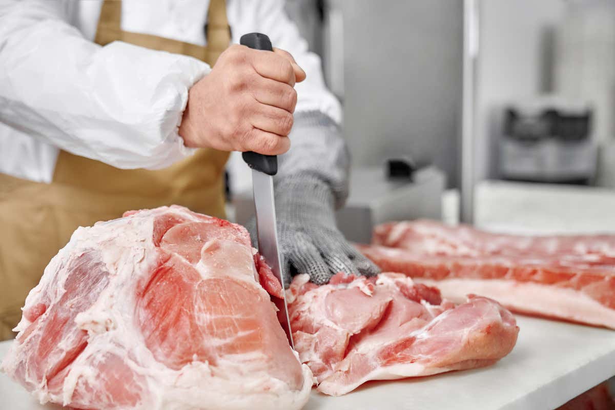 La tecnologia e la tradizione degli elettrodomestici e dei coltelli professionali