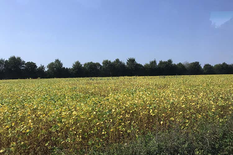 Caorle, attrazione quattro stagioni   Vocazione al turismo su molti fronti