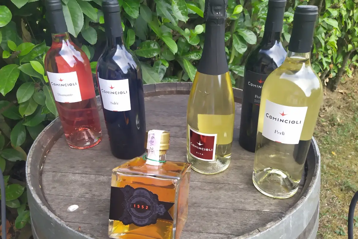 Comincioli, vini di alta qualit&agrave; a due passi dal Lago di Garda