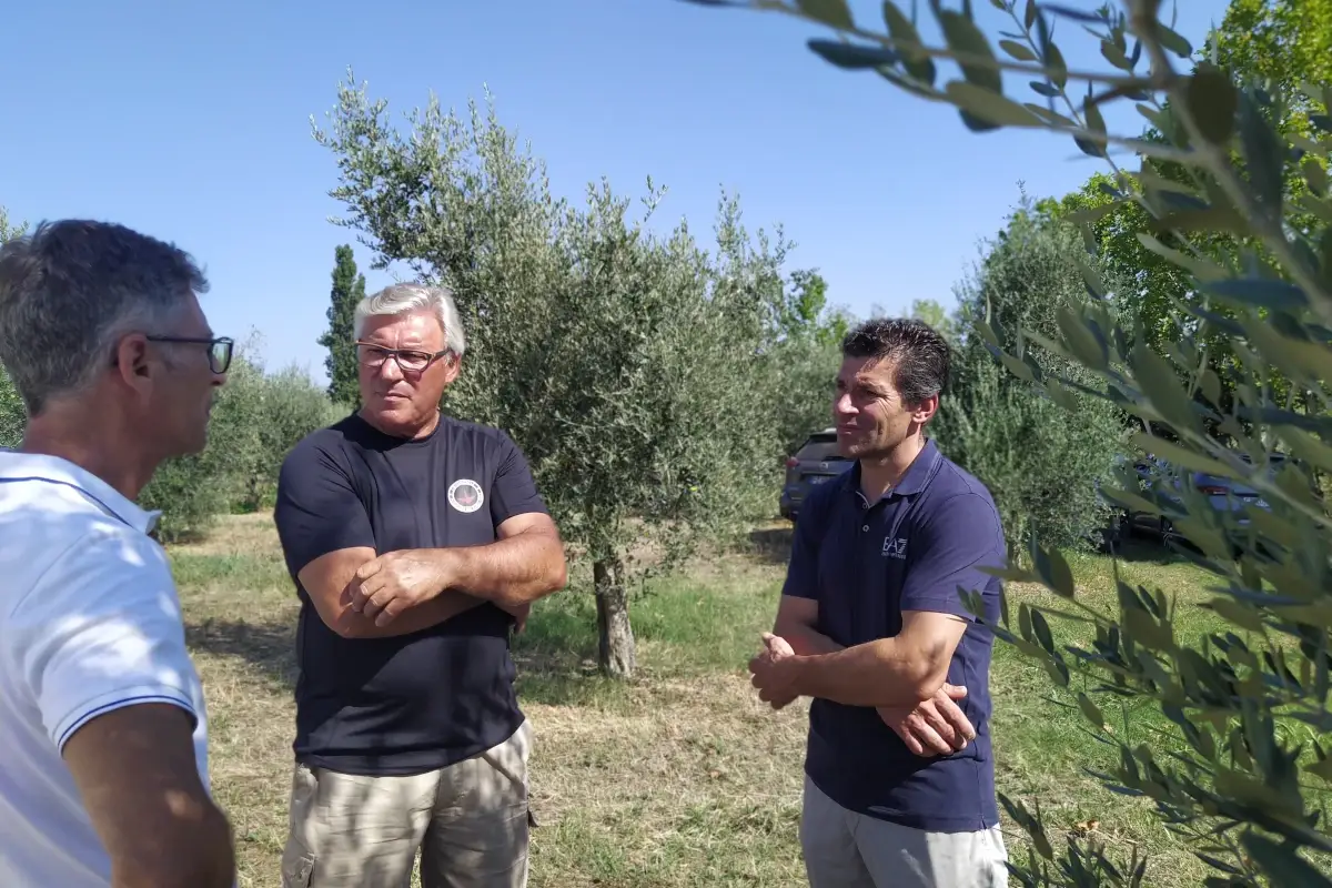 Comincioli, vini di alta qualit&agrave; a due passi dal Lago di Garda