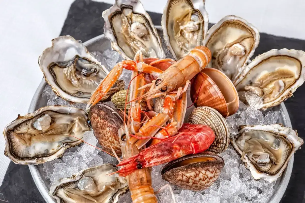Oyster & Samba Oyster
