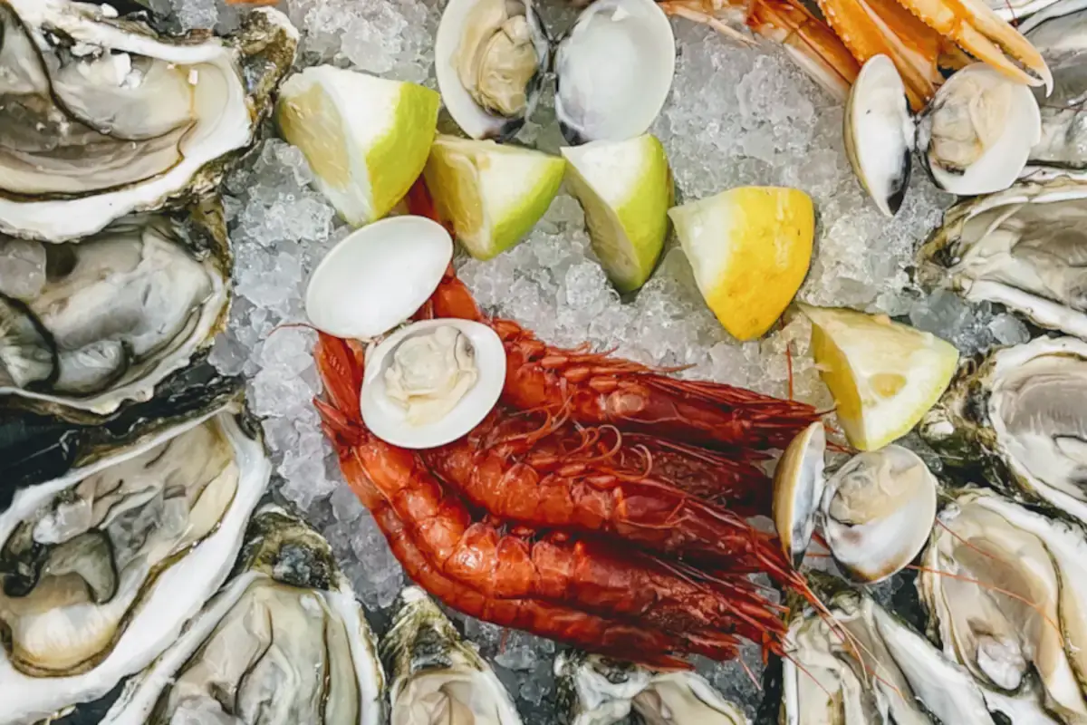 Oyster & Samba Oyster
