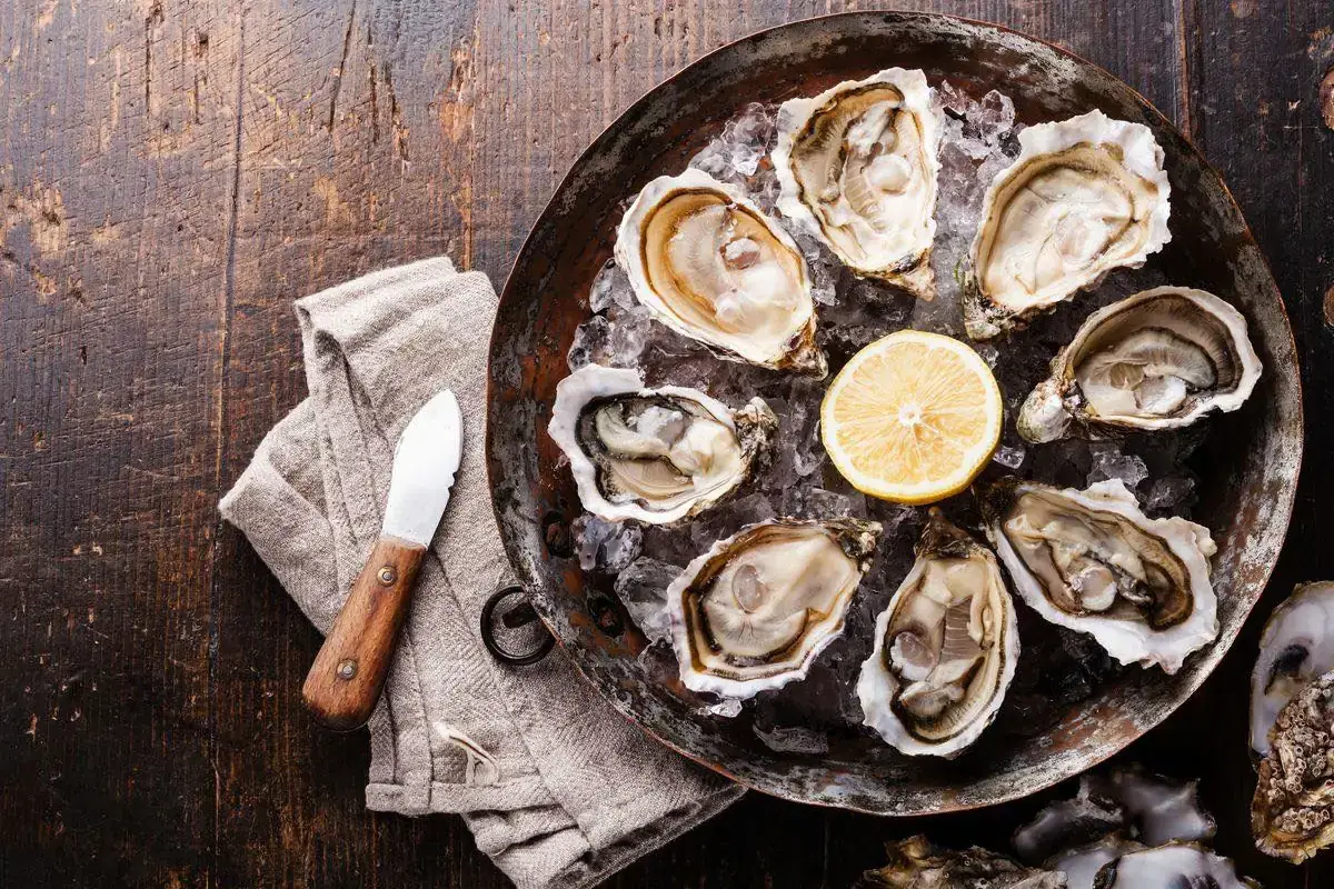 Oyster & Samba Oyster