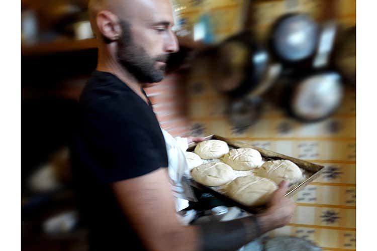 (Concorso fotografico, ancora pochi giorni Scatti tematici in arrivo da tutta Italia) (Concorso fotografico, ancora pochi giorni Scatti tematici in arrivo da tutta Italia)