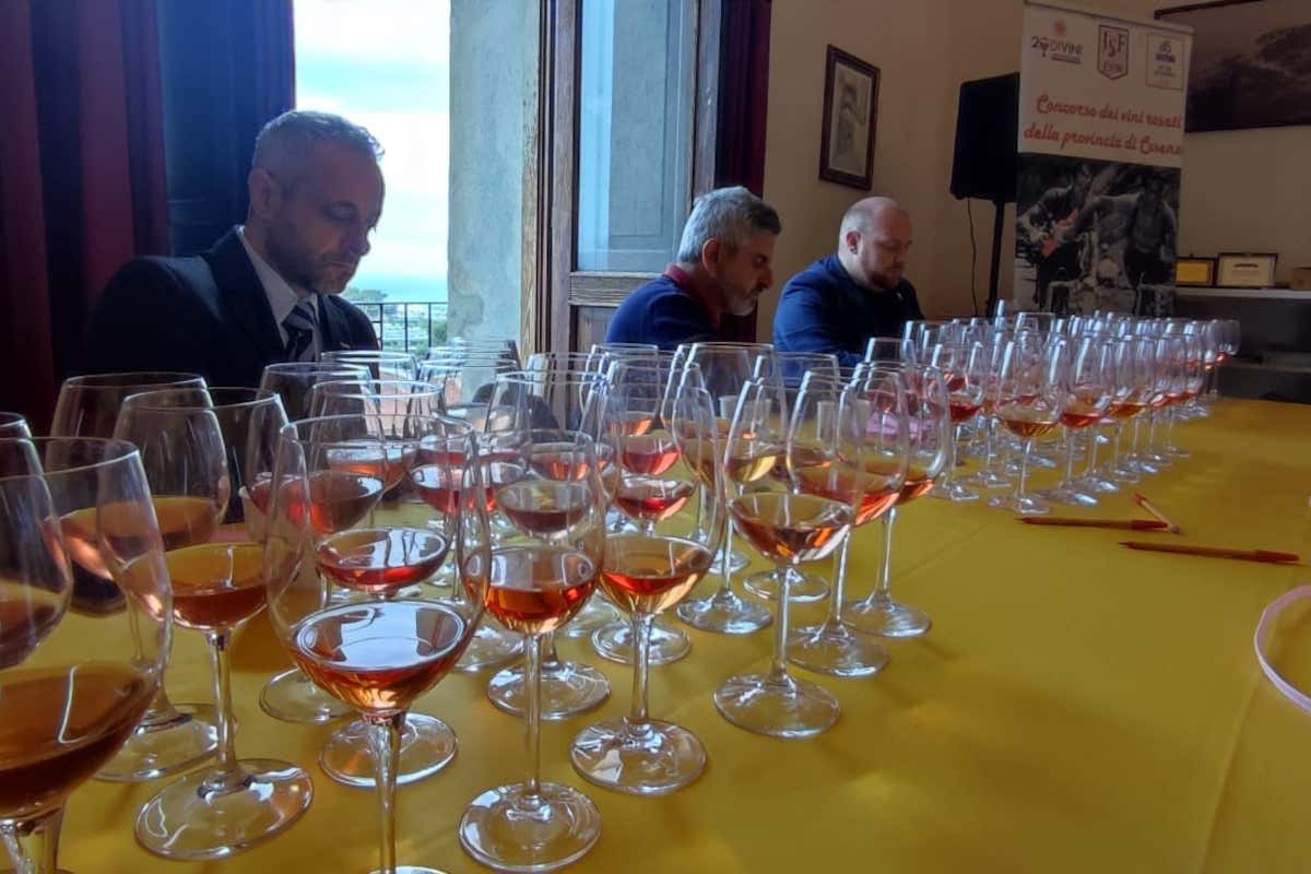La fase di assaggio del concorso Miglior rosato del Mediterraneo, prima tappa al Verbo di Cantina Venosa