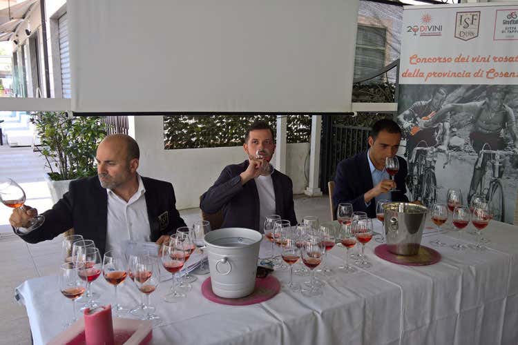 (Colacino, iGreco, Spiriti Ebbri e Spadafora premiati al concorso vini rosati di Cosenza)