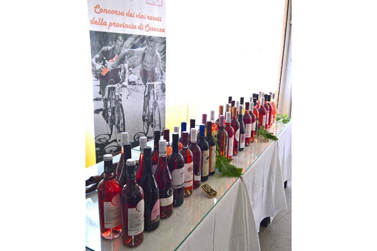 (Colacino, iGreco, Spiriti Ebbri e Spadafora premiati al concorso vini rosati di Cosenza)