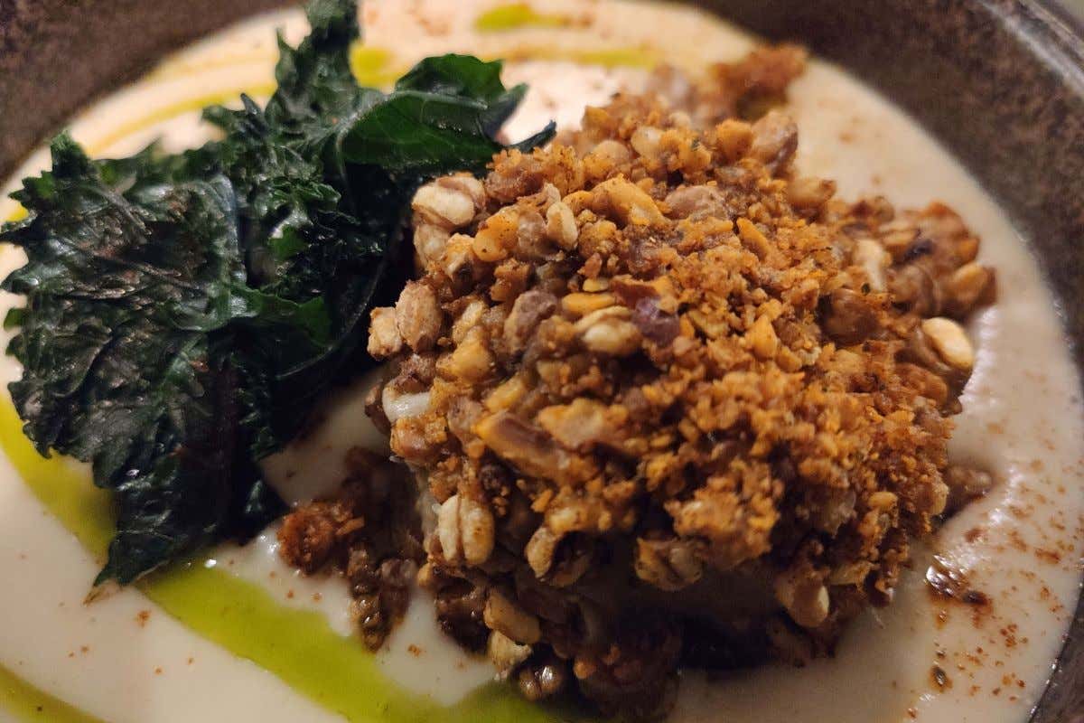 Congusto Institute festeggia i 20 anni nella ristorazione, sempre aperti al futuro