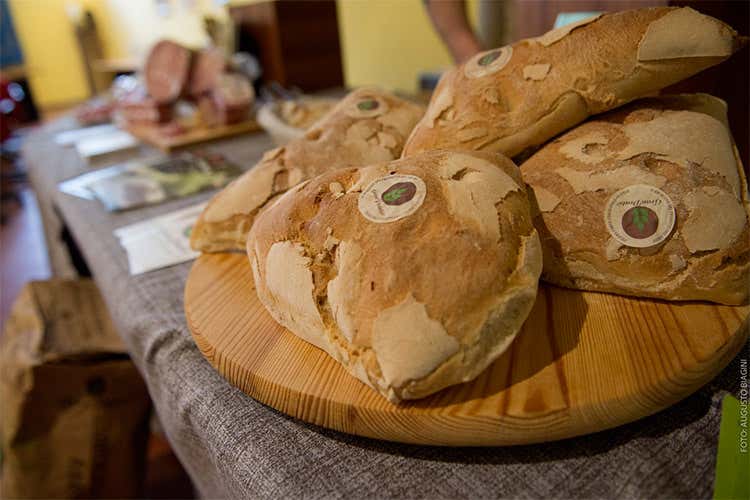 (Connubio tra cibo e arte a EatPrato Una città non solo da attraversare) (Connubio tra cibo e arte a EatPrato Una città non solo da attraversare)