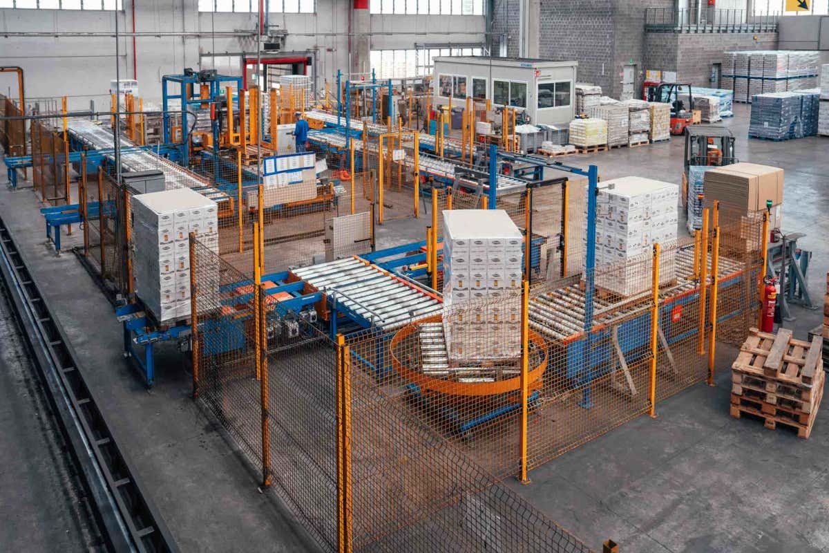 A Pomposa il futuro del pomodoro passa da automazione e filiera cooperativa