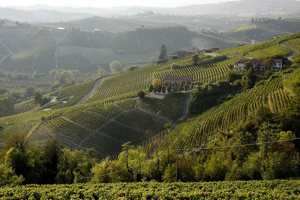 Panorama dei vigneti Asti Spumante e Moscato d&rsquo;Asti, 90 anni di bollicine