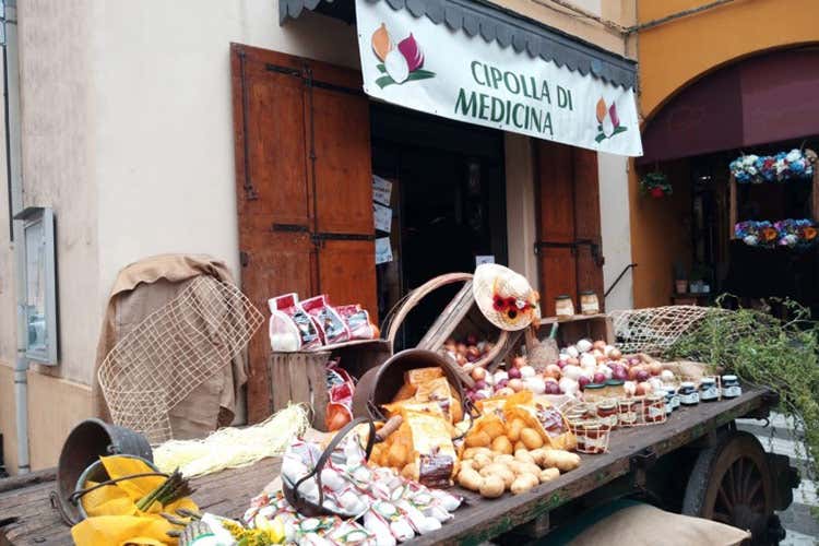 Cipolla di Medicina - SCHEDA