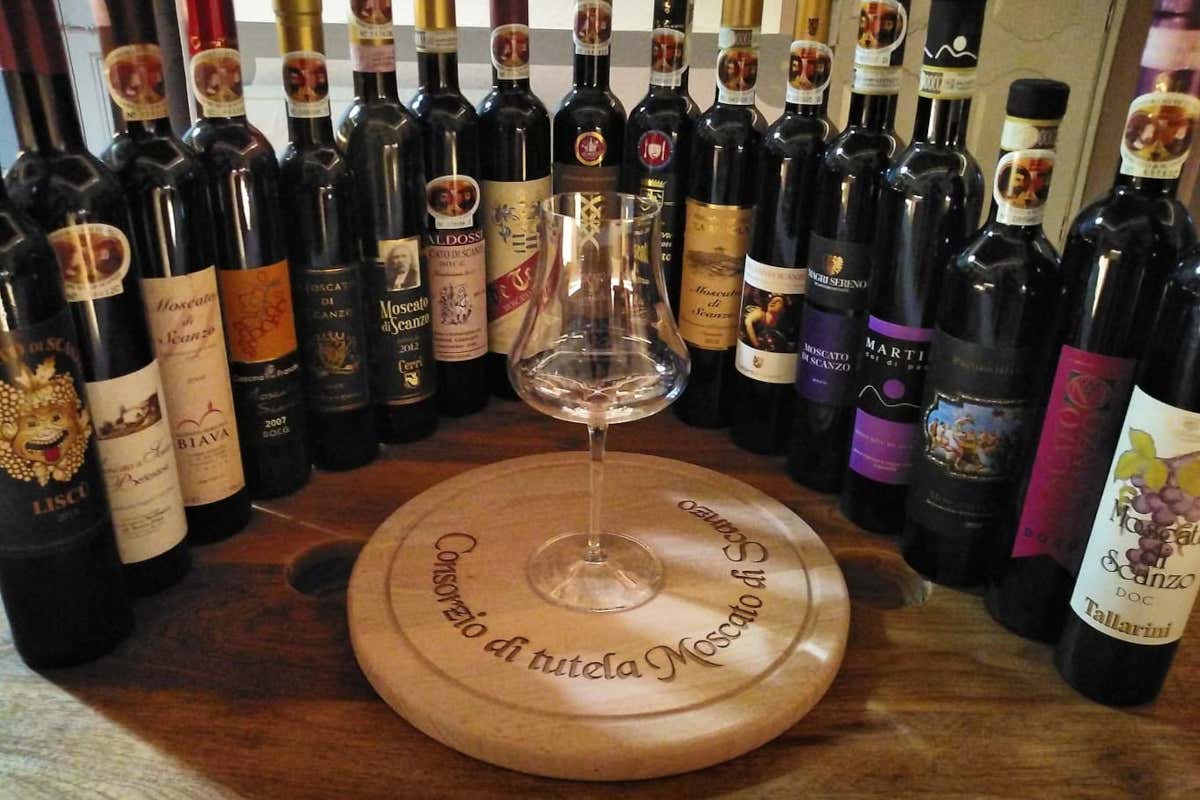 Moscato di Scanzo: il Consorzio conferma il Direttivo e guarda al futuro