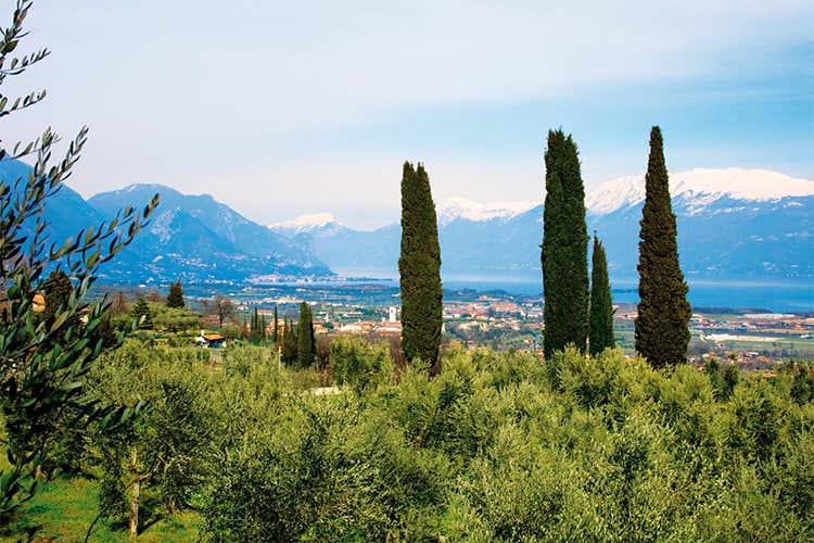 (That’s Garda, una giornata per parlare di olio, vino, ospitalità) (That’s Garda, una giornata per parlare di olio, vino, ospitalità)