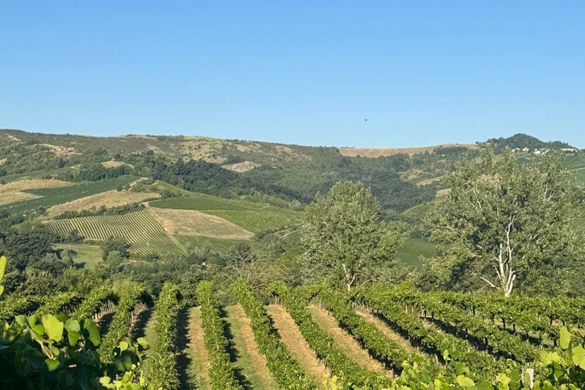 Conte Vistarino, in 160 anni di Pinot Nero la storia delle bollicine dell’Oltrepò Pavese