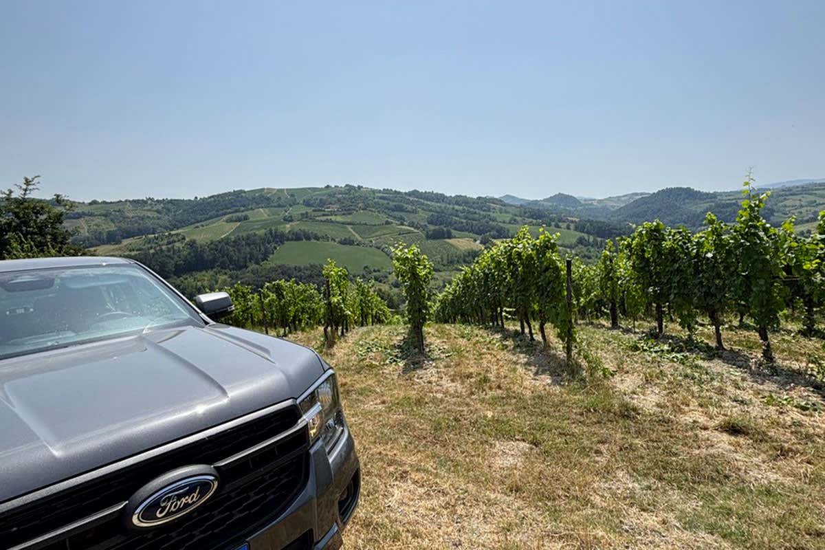 Conte Vistarino, in 160 anni di Pinot Nero la storia delle bollicine dell’Oltrepò Pavese