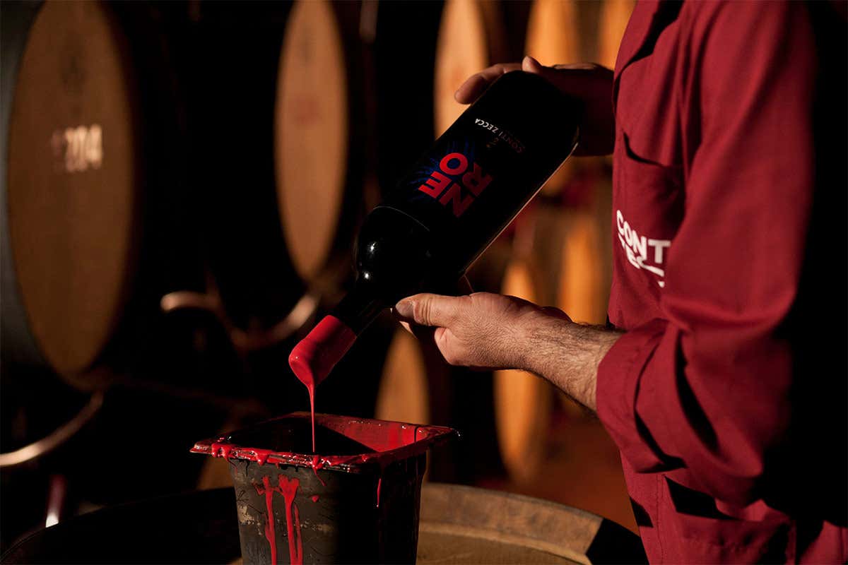 Nero Tour in cantina per scoprire l’eccellenza dei vini Conti Zecca