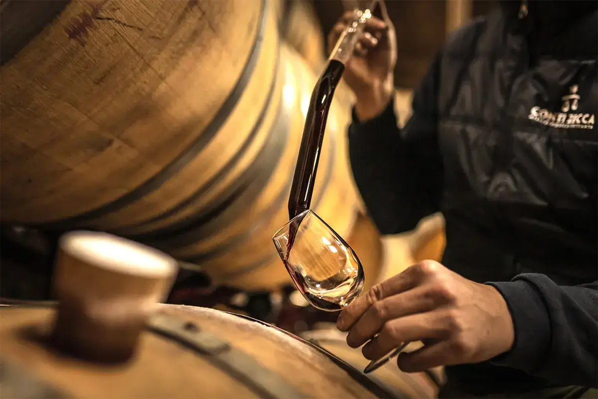 Barricaia Tour in cantina per scoprire l’eccellenza dei vini Conti Zecca