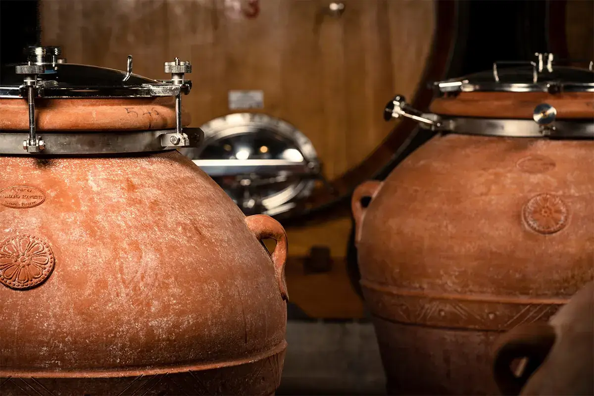 Anfore e botti Tour in cantina per scoprire l’eccellenza dei vini Conti Zecca