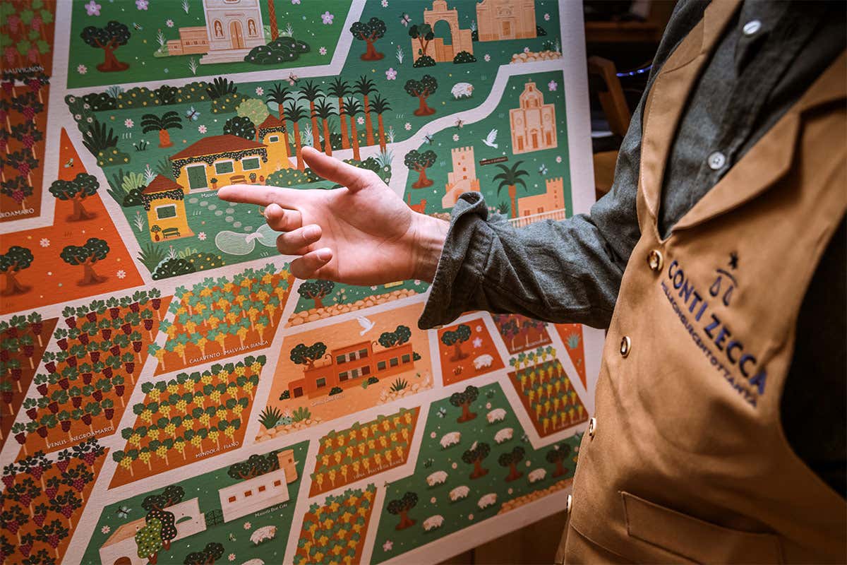 Mappa dei cru Tour in cantina per scoprire l’eccellenza dei vini Conti Zecca