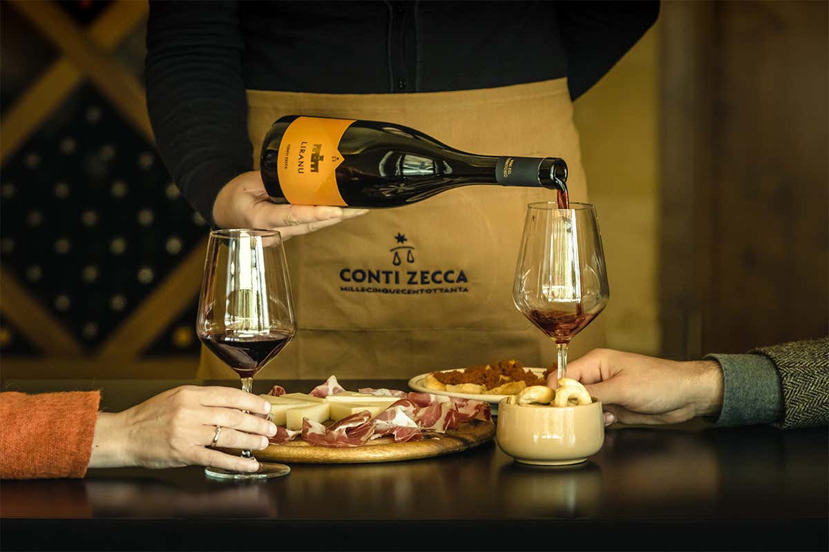 Degustazione Tour in cantina per scoprire l’eccellenza dei vini Conti Zecca