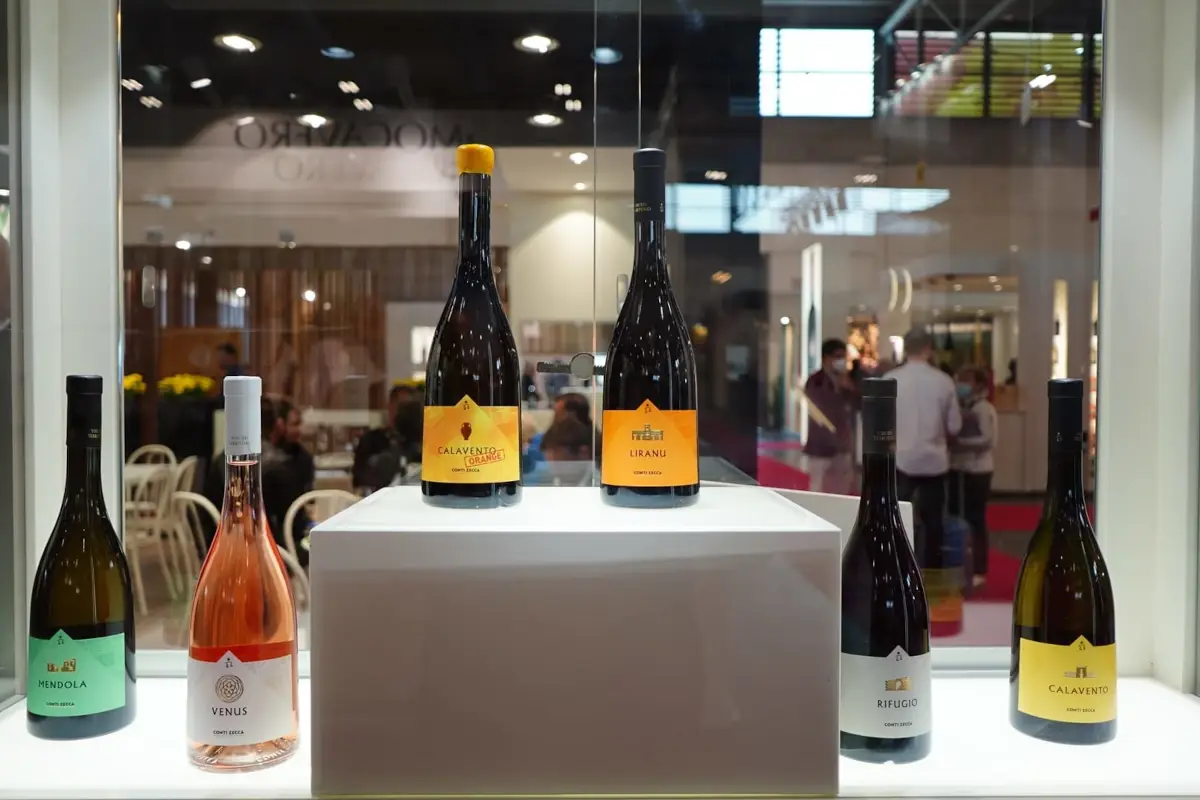 Nei vini di Conti Zecca si sente il Salento