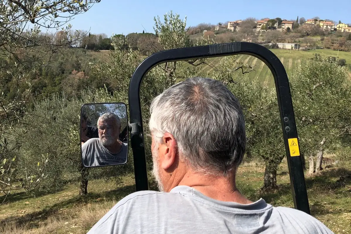 Le olive al centro delle attivit&agrave; Cooperativa de' pazzi: il cibo favorisce l'inclusione sociale