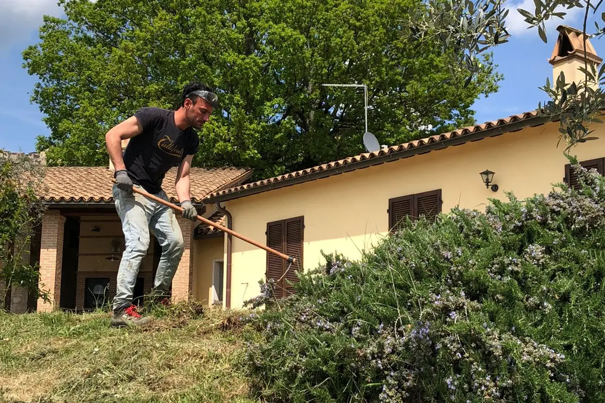 Giovani al lavoro con la terra Cooperativa de' pazzi: il cibo favorisce l'inclusione sociale