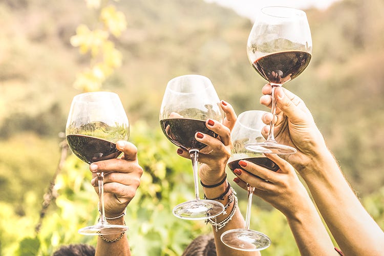 Buoni risultati per il vino cooperativo Vino cooperativo, 2020 positivo. Salgono fatturato e vendite in Gdo