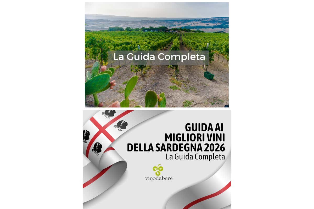 Meno etichette, più qualità: tutti i risultati della Guida ai Migliori Vini della Sardegna
