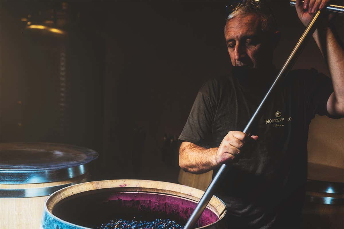 Il processo di vinifcazione &egrave; il meno invasivo possibile - Foto Test Srls Monteverro, cantina virtuosaUna filosofia agricola sostenibile