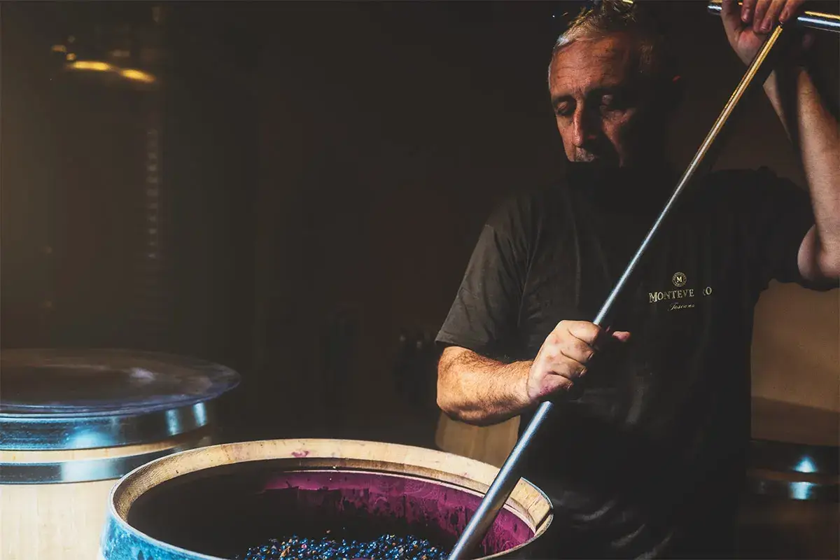 Il processo di vinifcazione &egrave; il meno invasivo possibile - Foto Test Srls Monteverro, cantina virtuosaUna filosofia agricola sostenibile