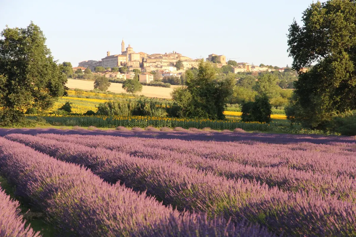 Mivola, la valle che ora c&rsquo;&egrave;!