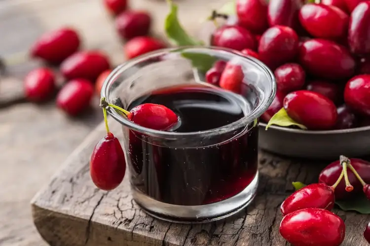 La corniola, tutte le proprietà di un frutto ormai irreperibile